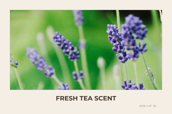 fresh tea scent