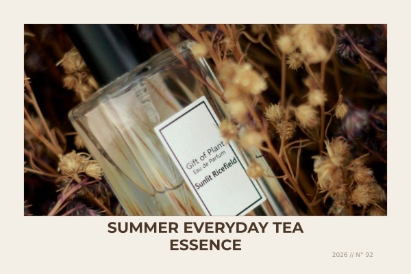 summer everyday tea essence