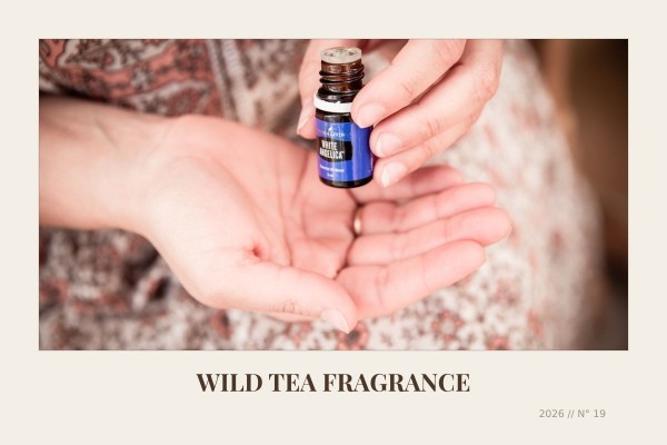 wild tea fragrance